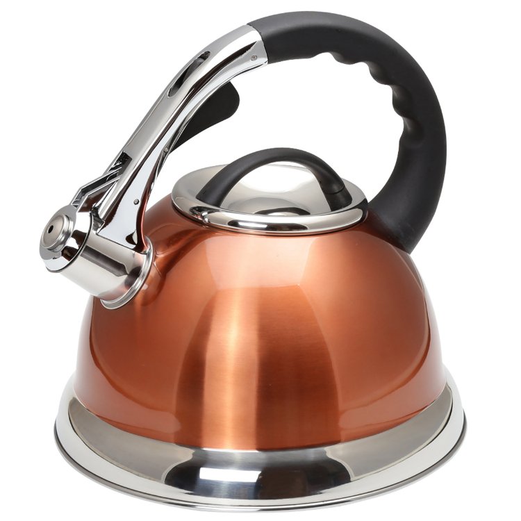 Whistling Tea Kettle Stainless Steel Copper Color