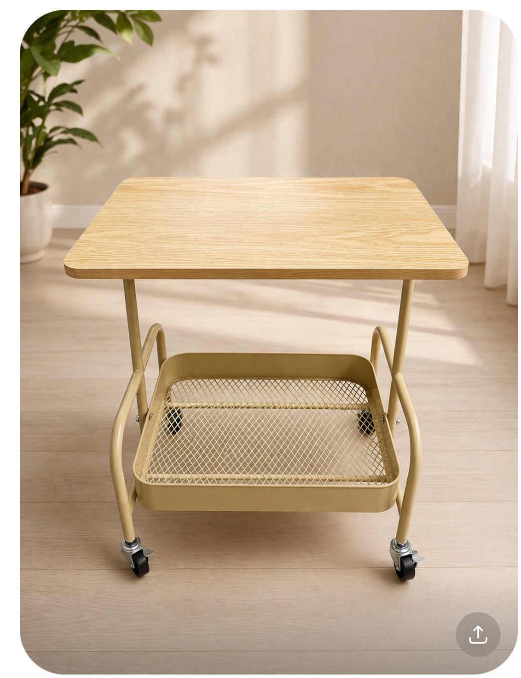 Multifunctional Trolley
