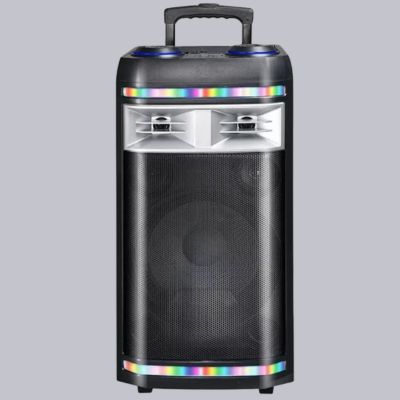 Portable Bluetooth Party Outdoor Speaker with Twin Microphone Model CH126