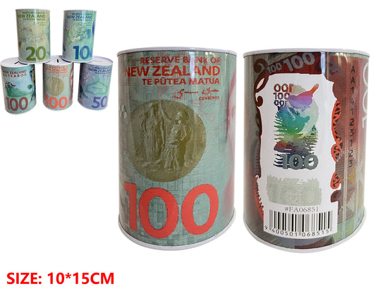 MONEY TIN 10*15CM(FA06851P)