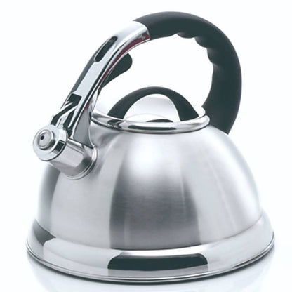 Whistling Tea Kettle Stainless Steel Copper Color