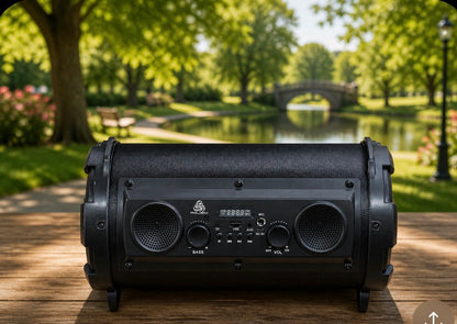 Wireless Bluetooth Speaker