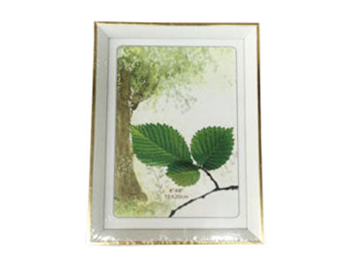 Photo Frame - 6R - 6x8 Inch White With Gold Edge