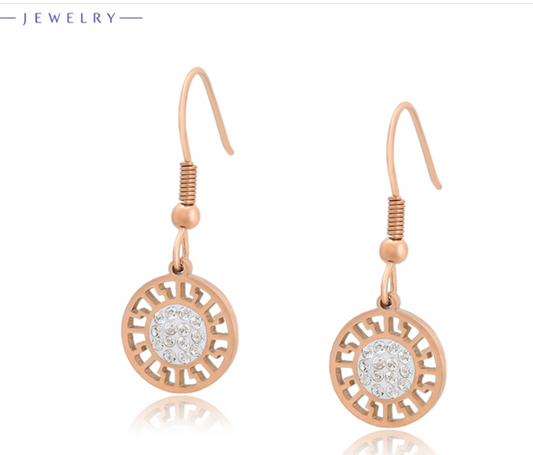 EARINGS SIMPLE AND SOBER