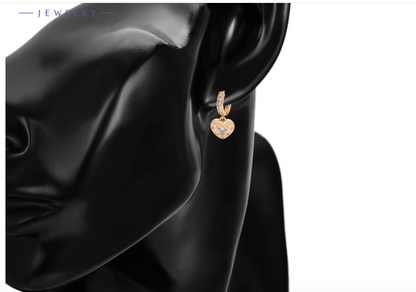 HEART EARINGS WITH STONE