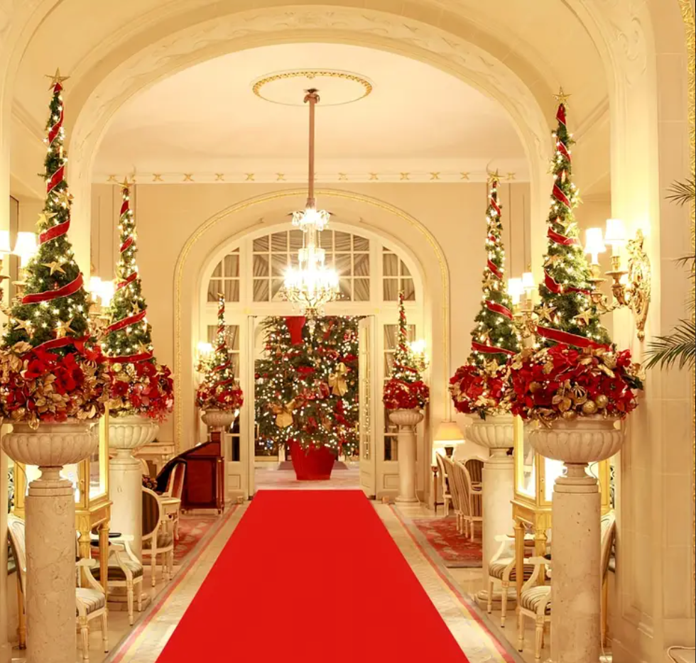 RED CARPET RUG RUNNER $15 PER MTR