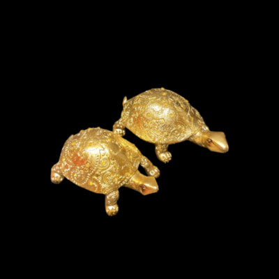 2 Turtles Gold