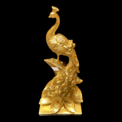 Golden Peacock