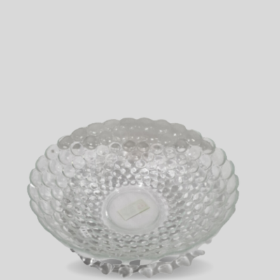 Glass Bowl-Single Piece